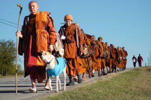 Walk for Peace - Day 6