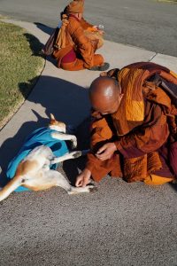 Walk for Peace - Day 6