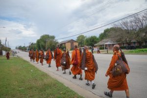 Walk for peace - day 7