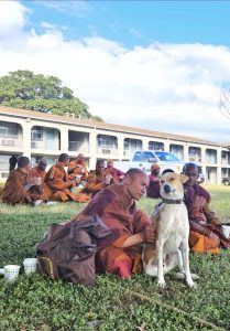 Walk for peace - day 7