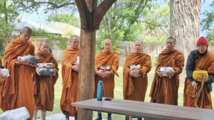 Walk for peace - day 7