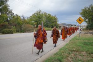 Walk for peace - day 7