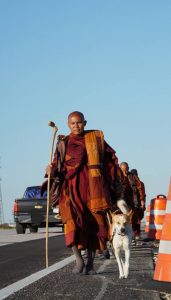 Walk for Peace - Day 8