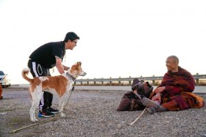 Walk for Peace - Day 8