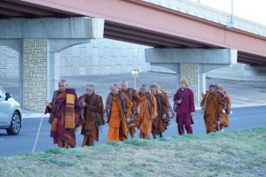 Walk for peace - Day 9