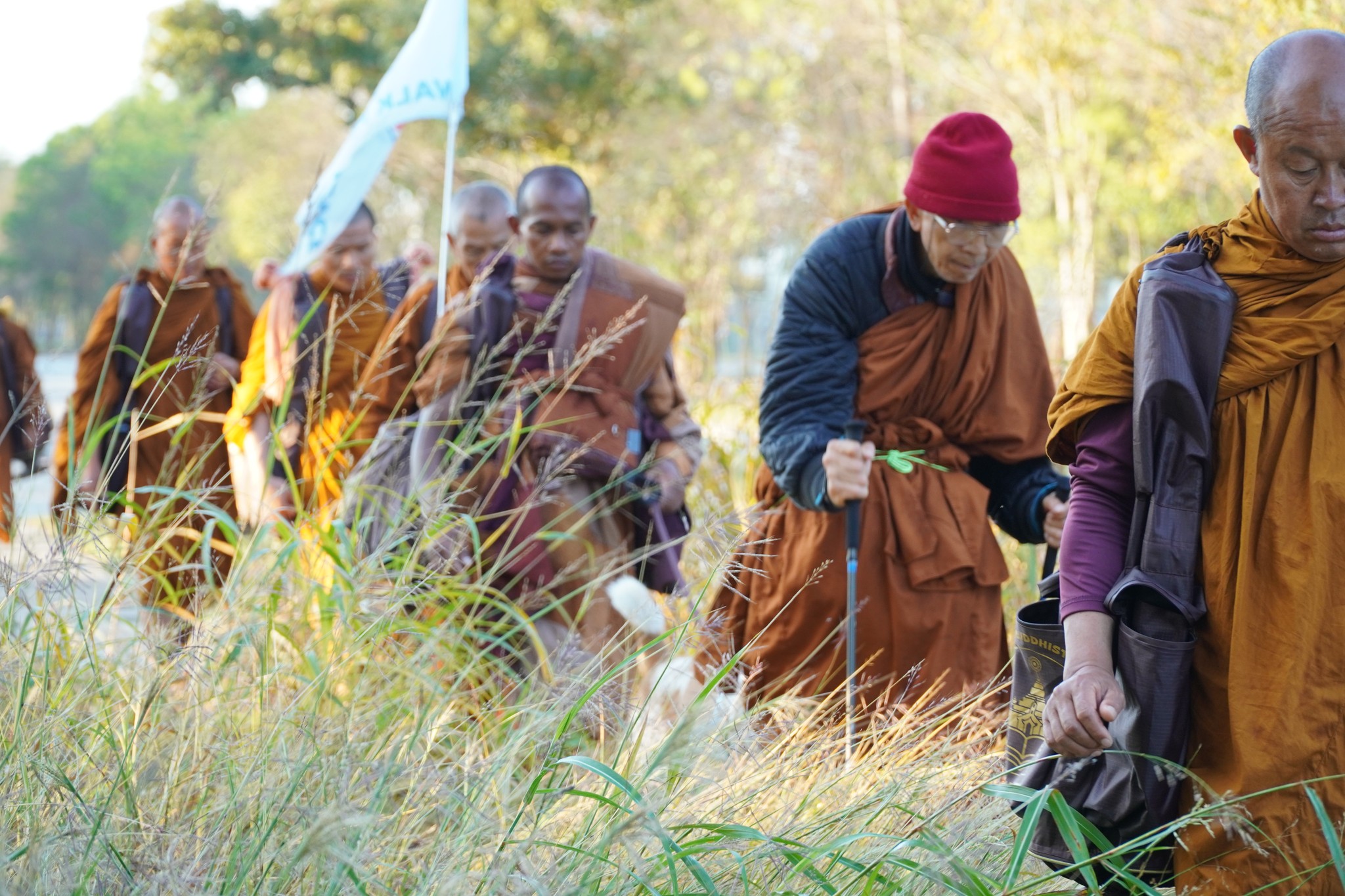Walk for Peace - Day 17-18 Houston