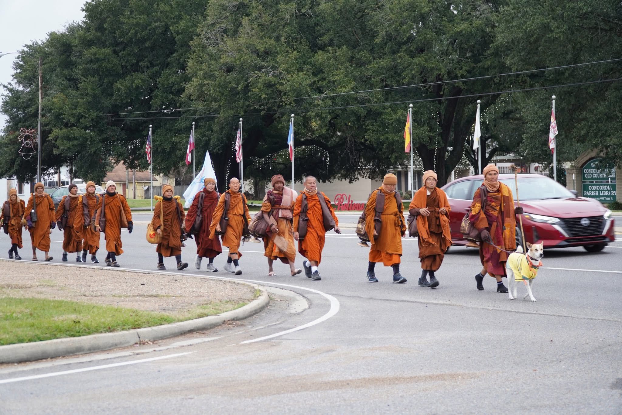 Walk for peace - day 41