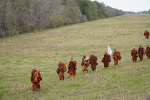 Walk for peace - day 40