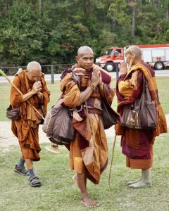 Walk for peace - day 54