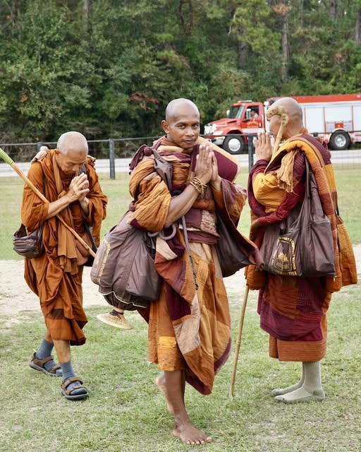 Walk for peace - day 54