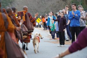 Walk For Peace W4P Day 63