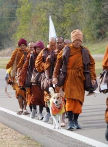 Walk for peace W4P Fraud Advisory