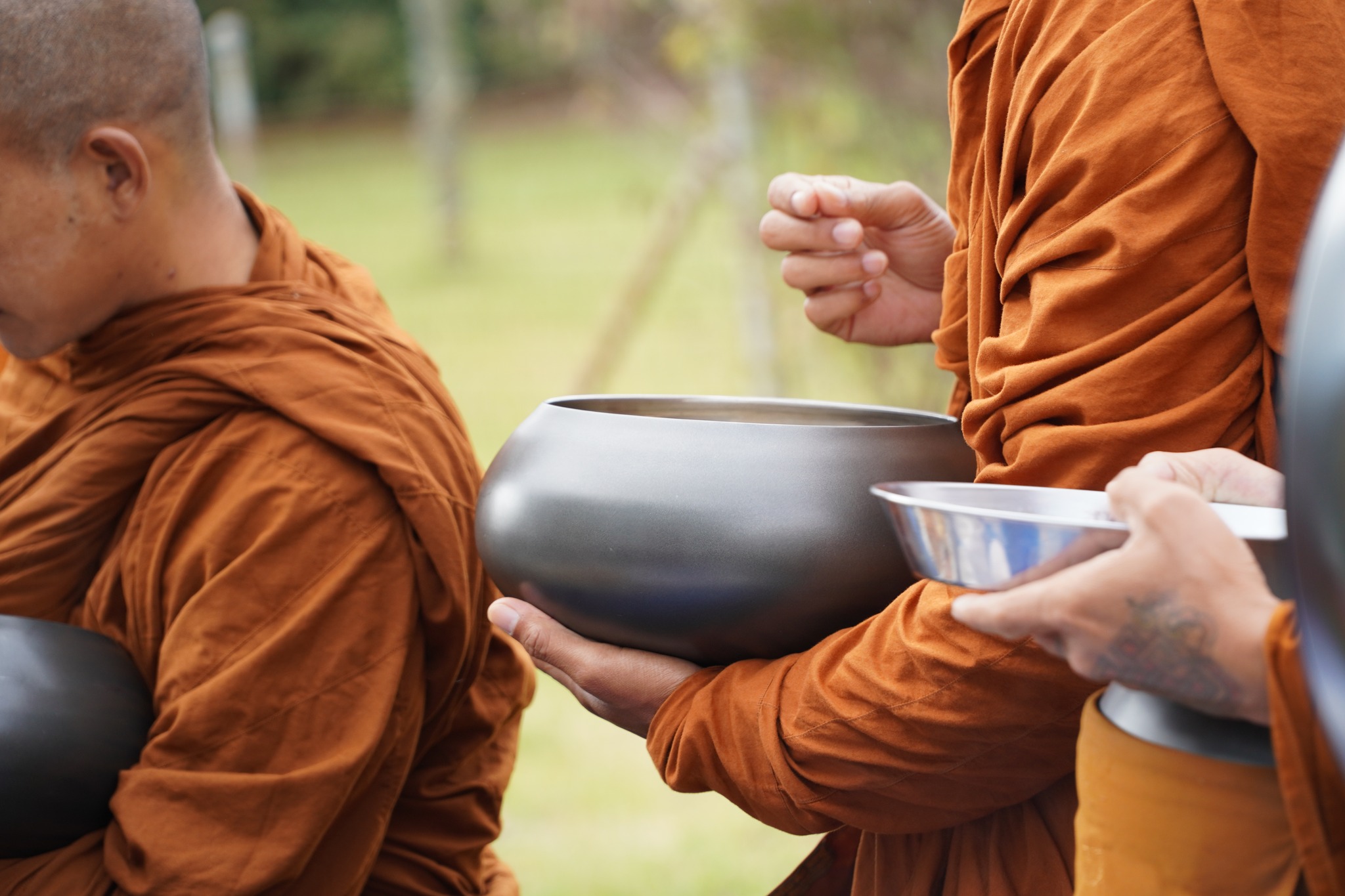 Walk for Peace - W4P - Day 43