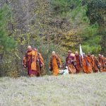 Walk for Peace - W4P - Day 43