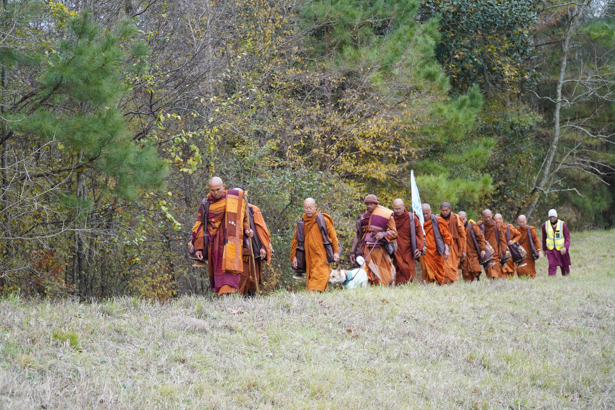 Walk for Peace - W4P - Day 43