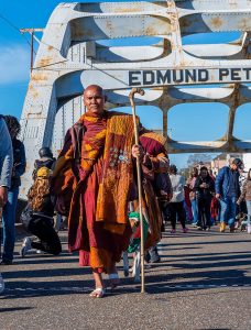 Walk for Peace Day 55