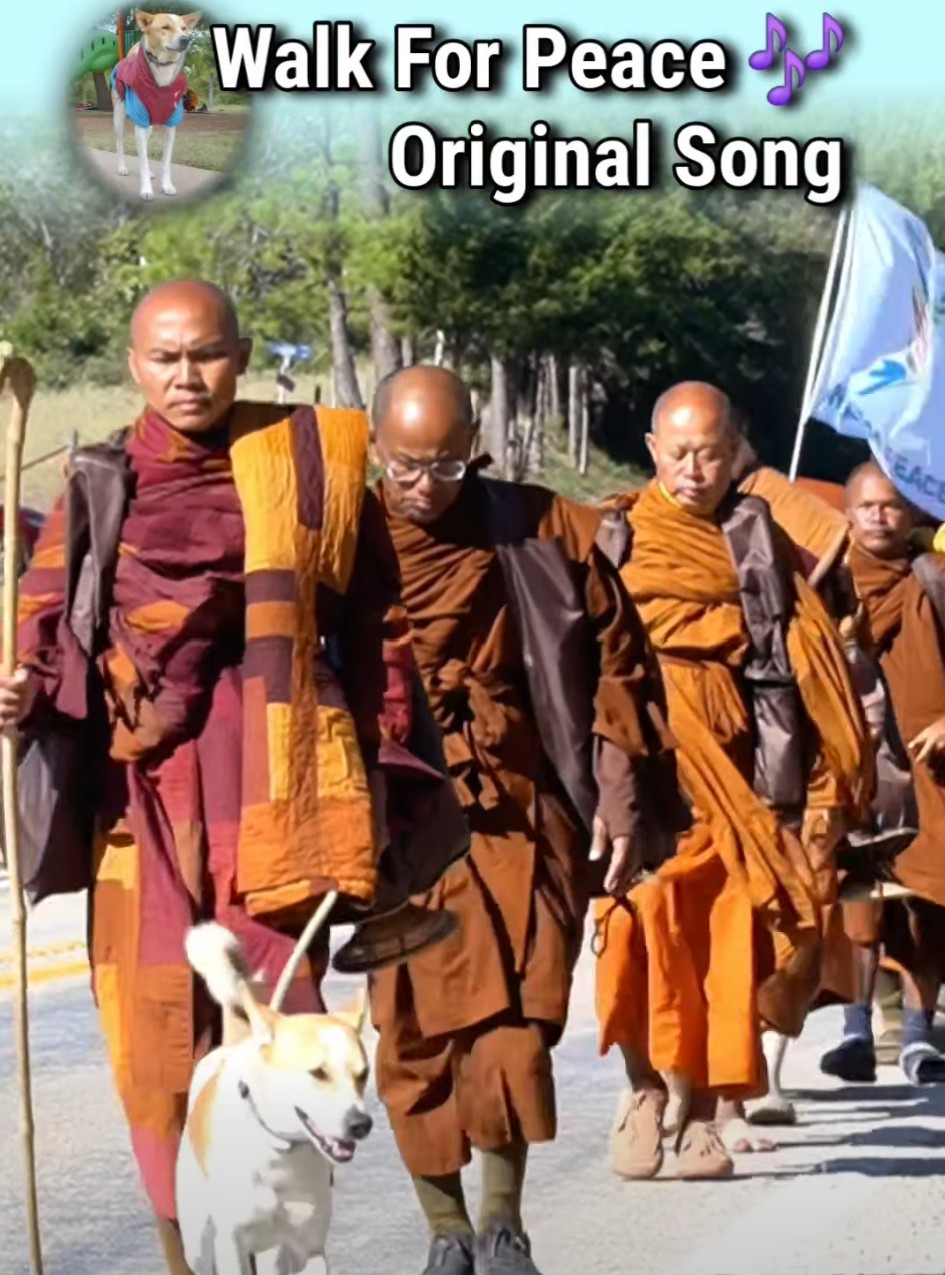 walk for peace - an original song