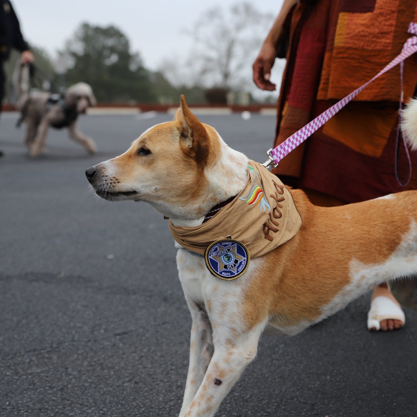 Walk for Peace Lexington County Sheriff Department