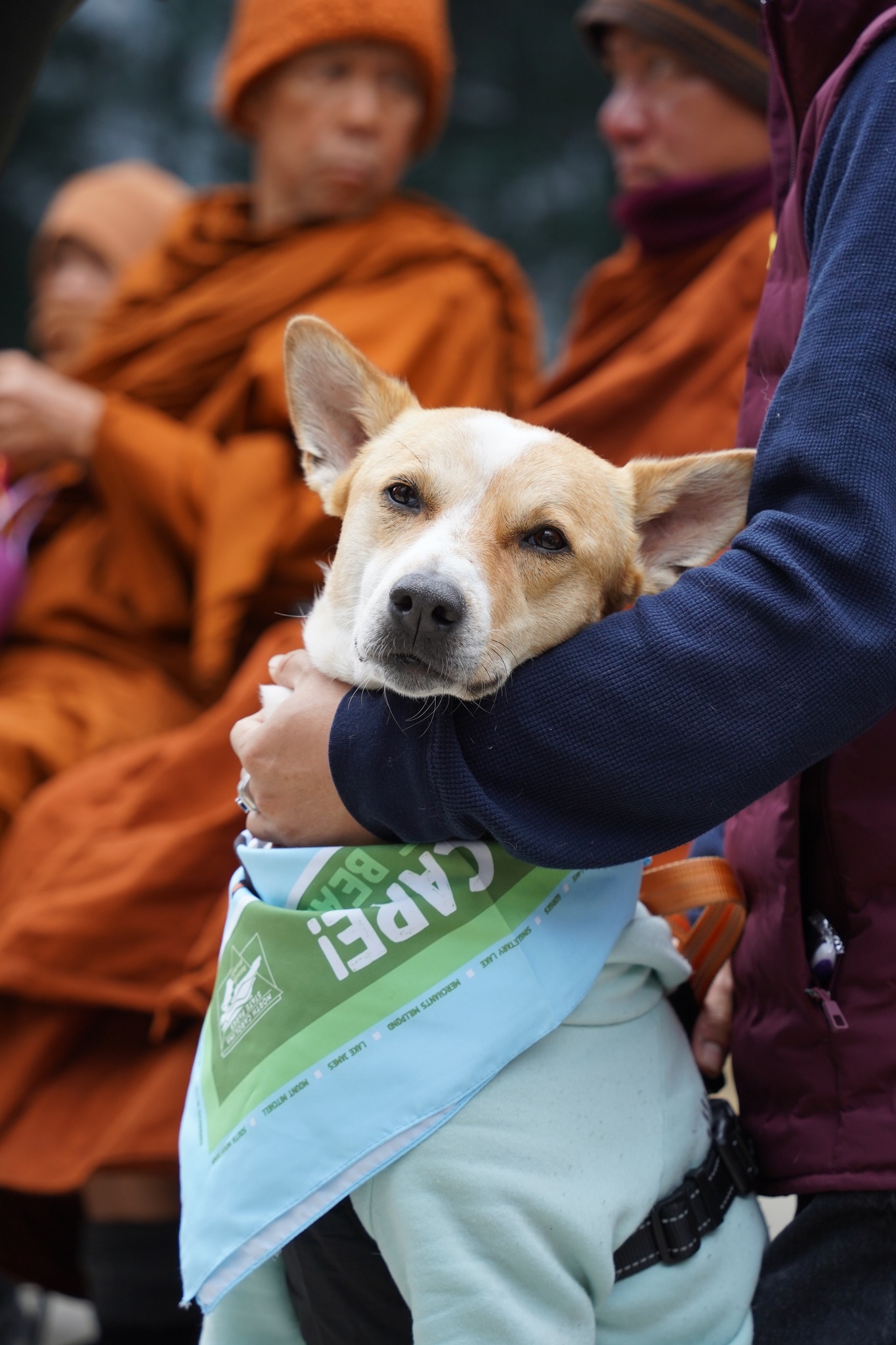 Walk for Peace Day 90