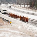 Walk for Peace Day 93