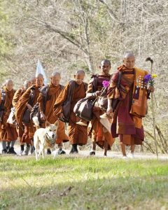 Walk for Peace - Day 75