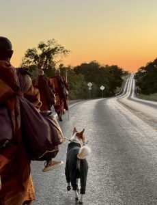 Walk for Peace - Day 76