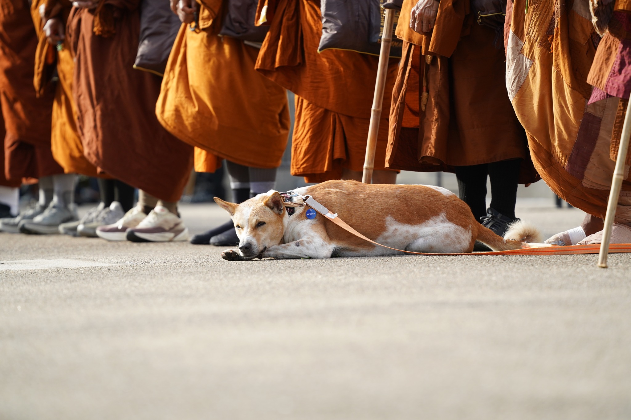 Walk for Peace - Day 77