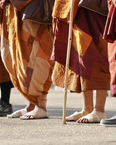 Walk for Peace - Day 79