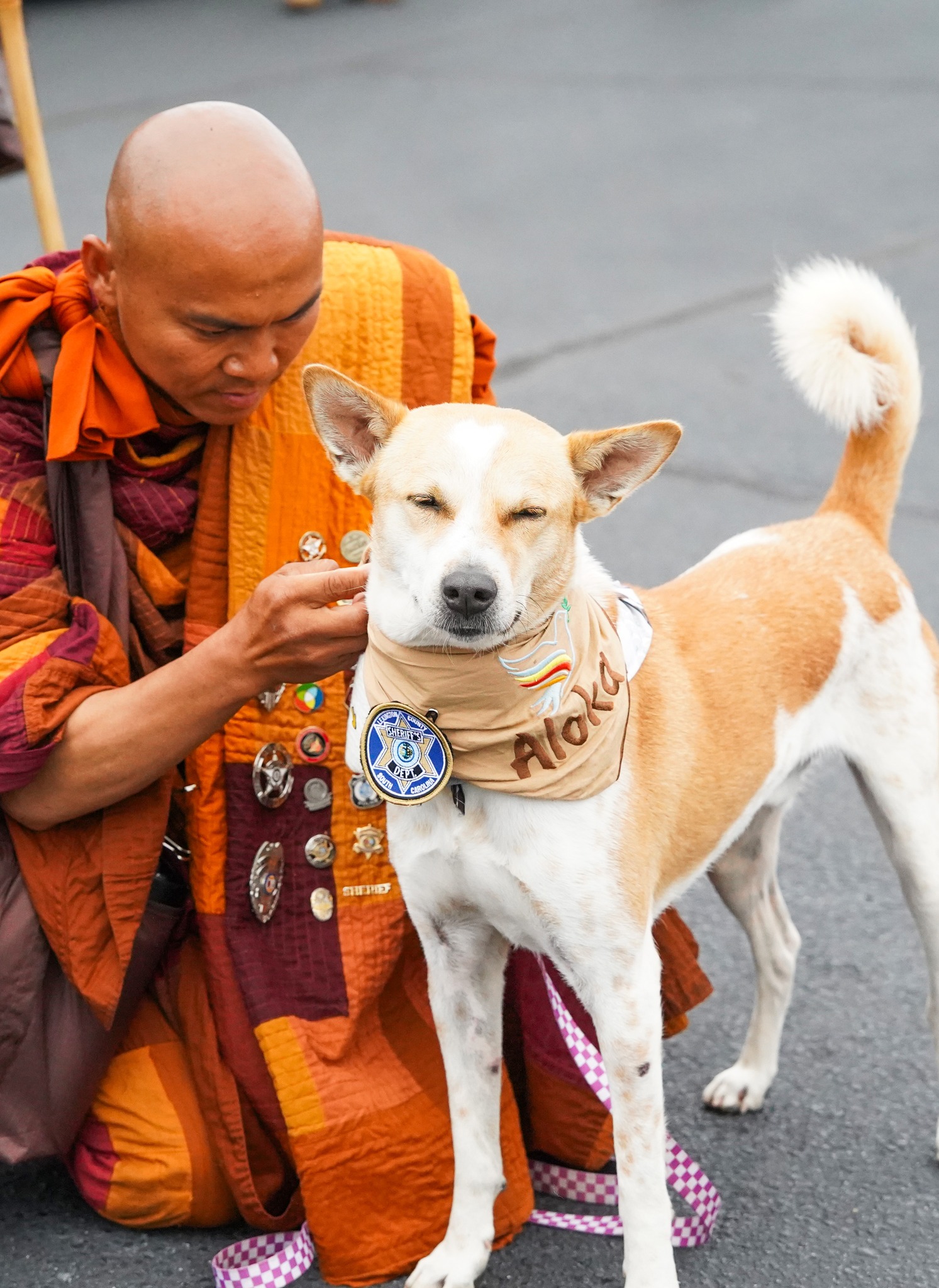 Walk for Peace - Day 79