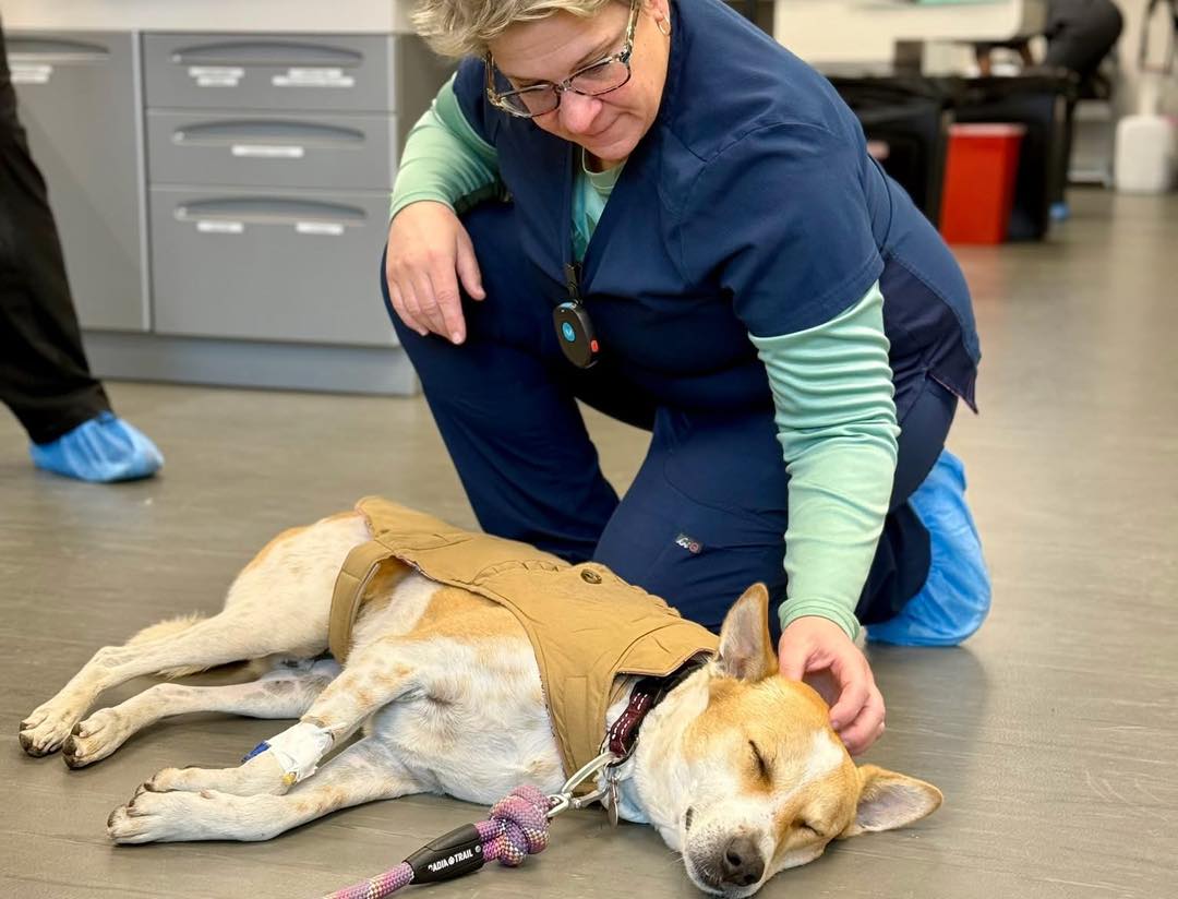 Walk for Peace - Day 79