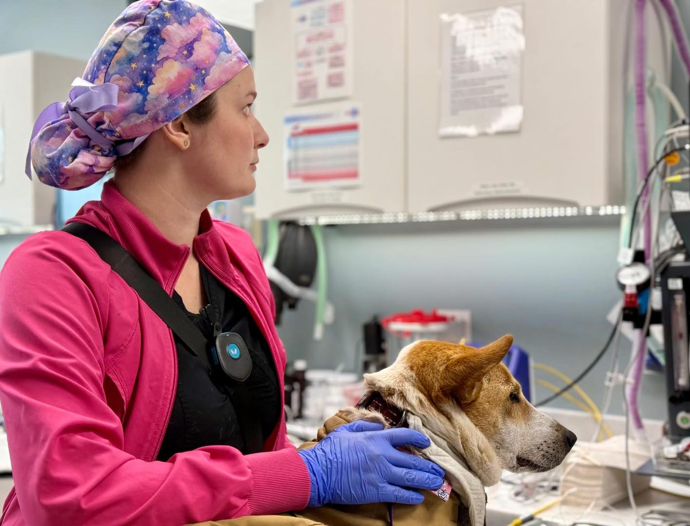 Walk for Peace - Day 79