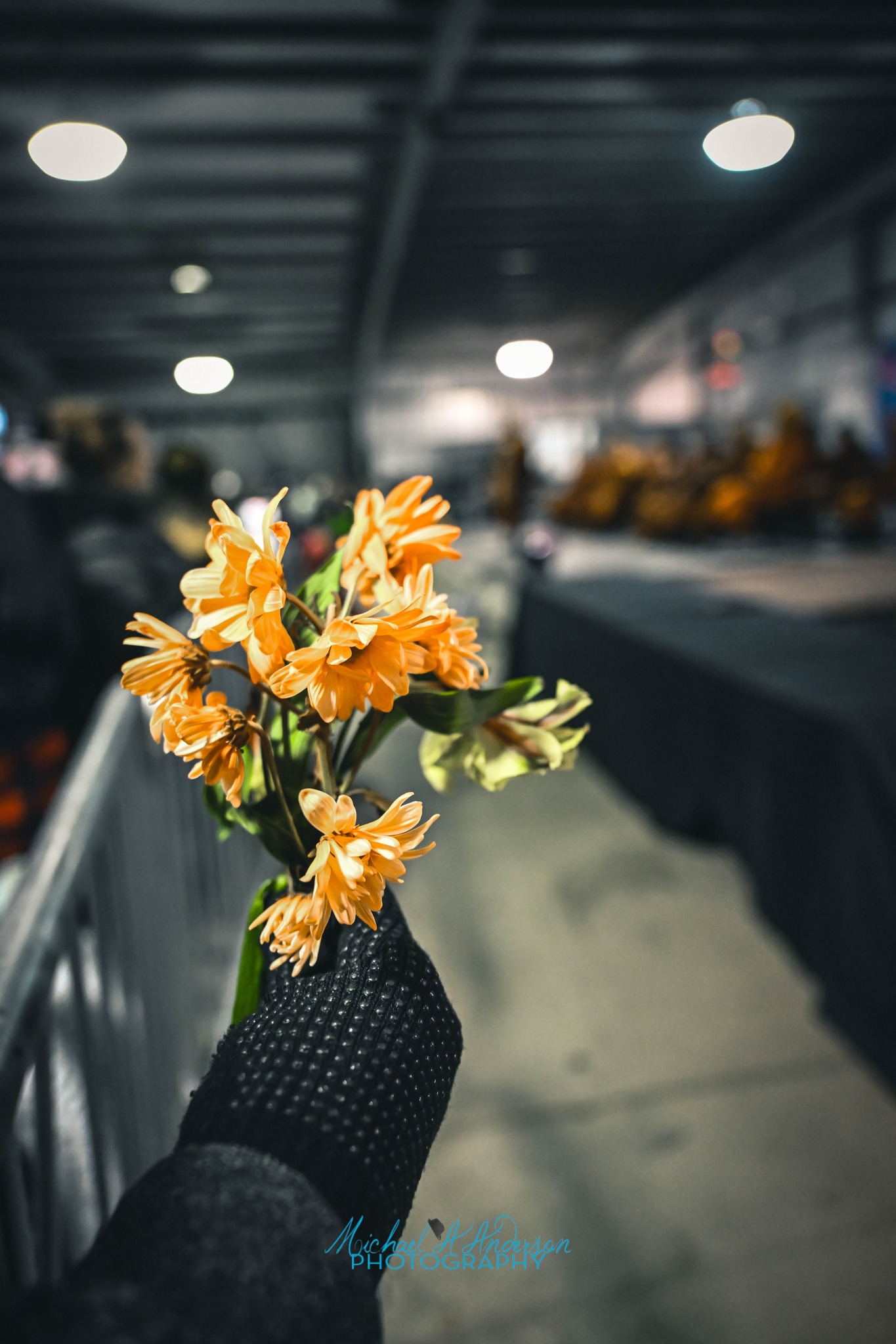 Walk for Peace - Day 82-83