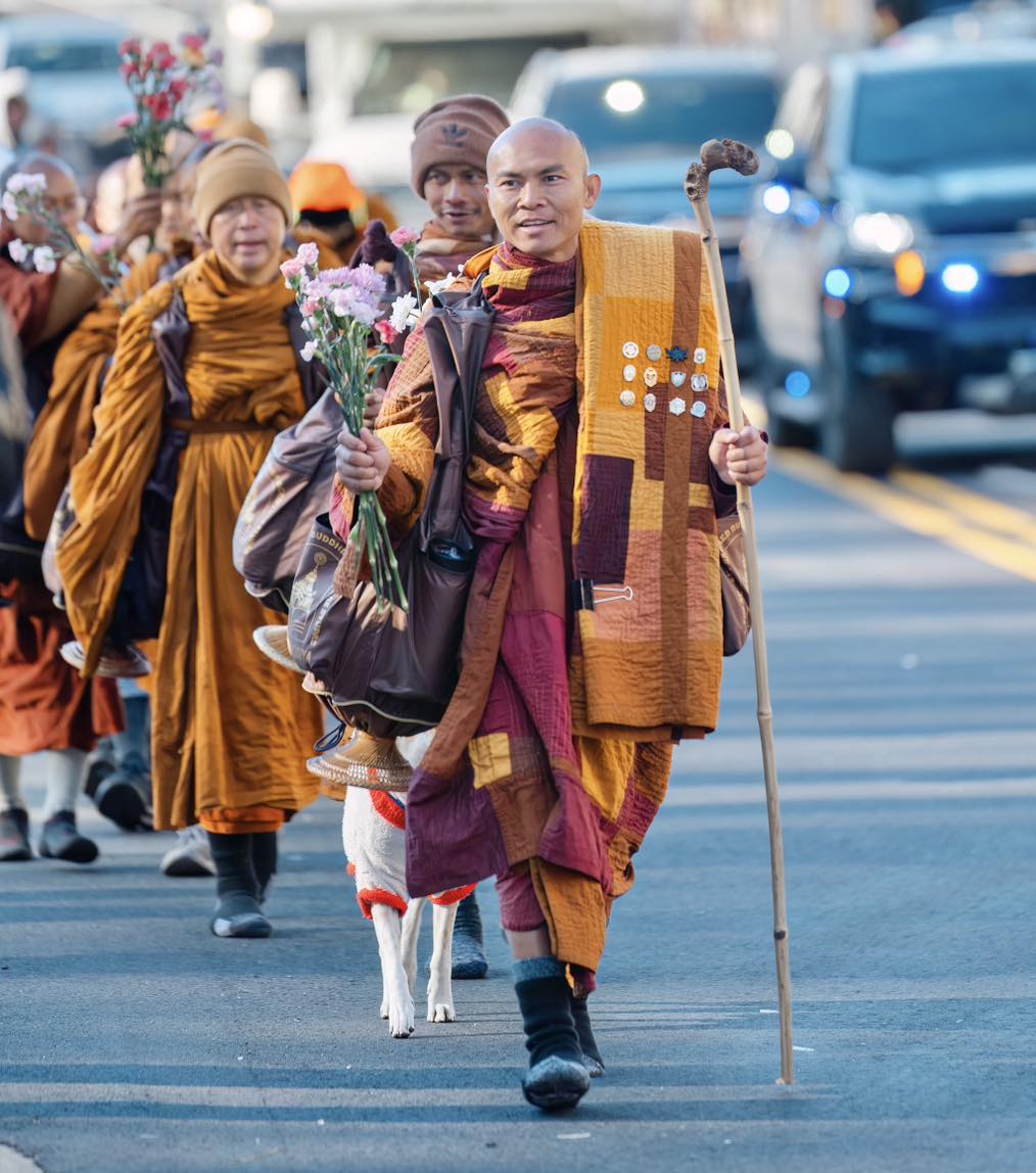 Walk for Peace - Happy New Year