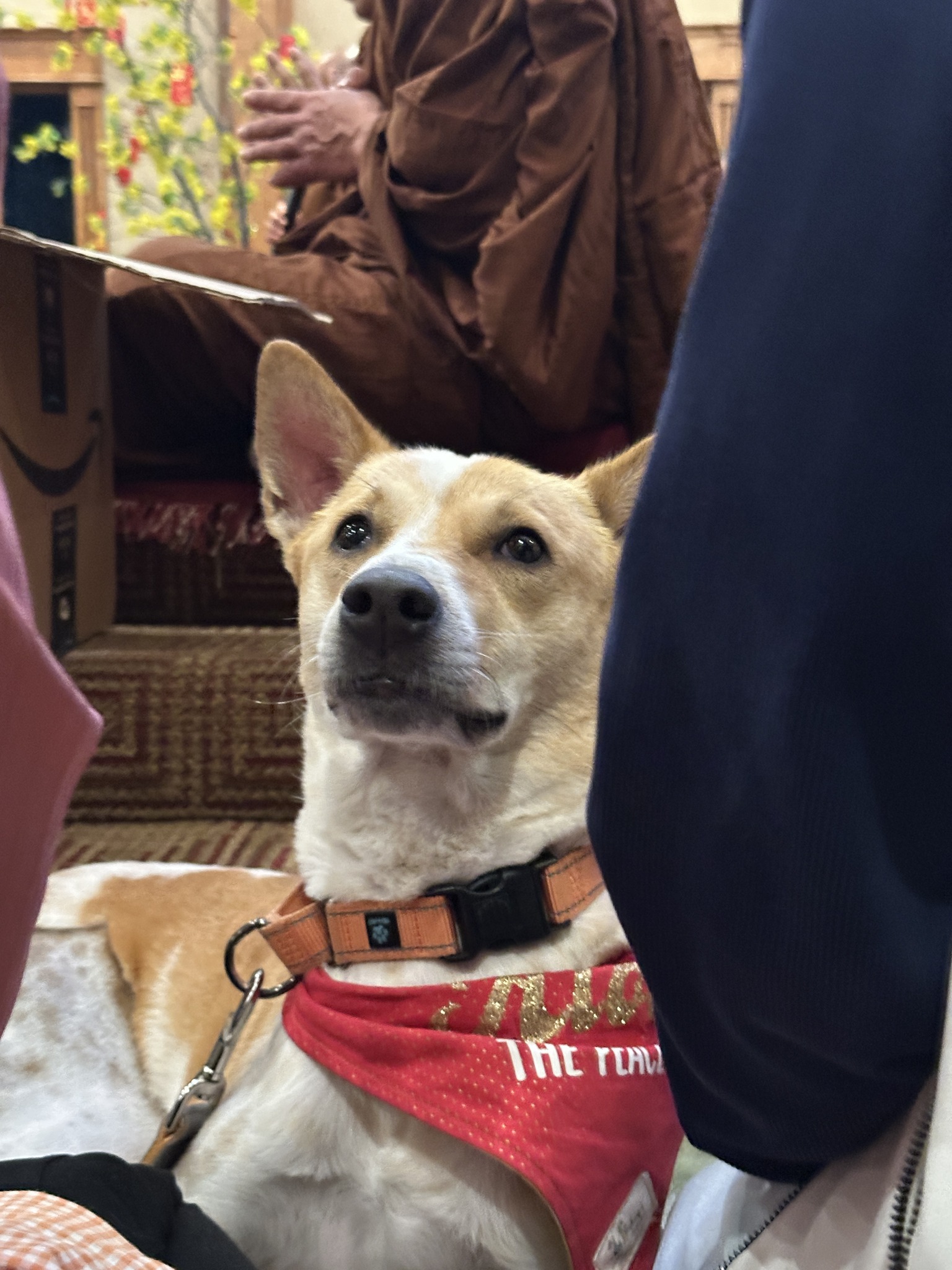 Journey Reflection on Lunar New Year Eve