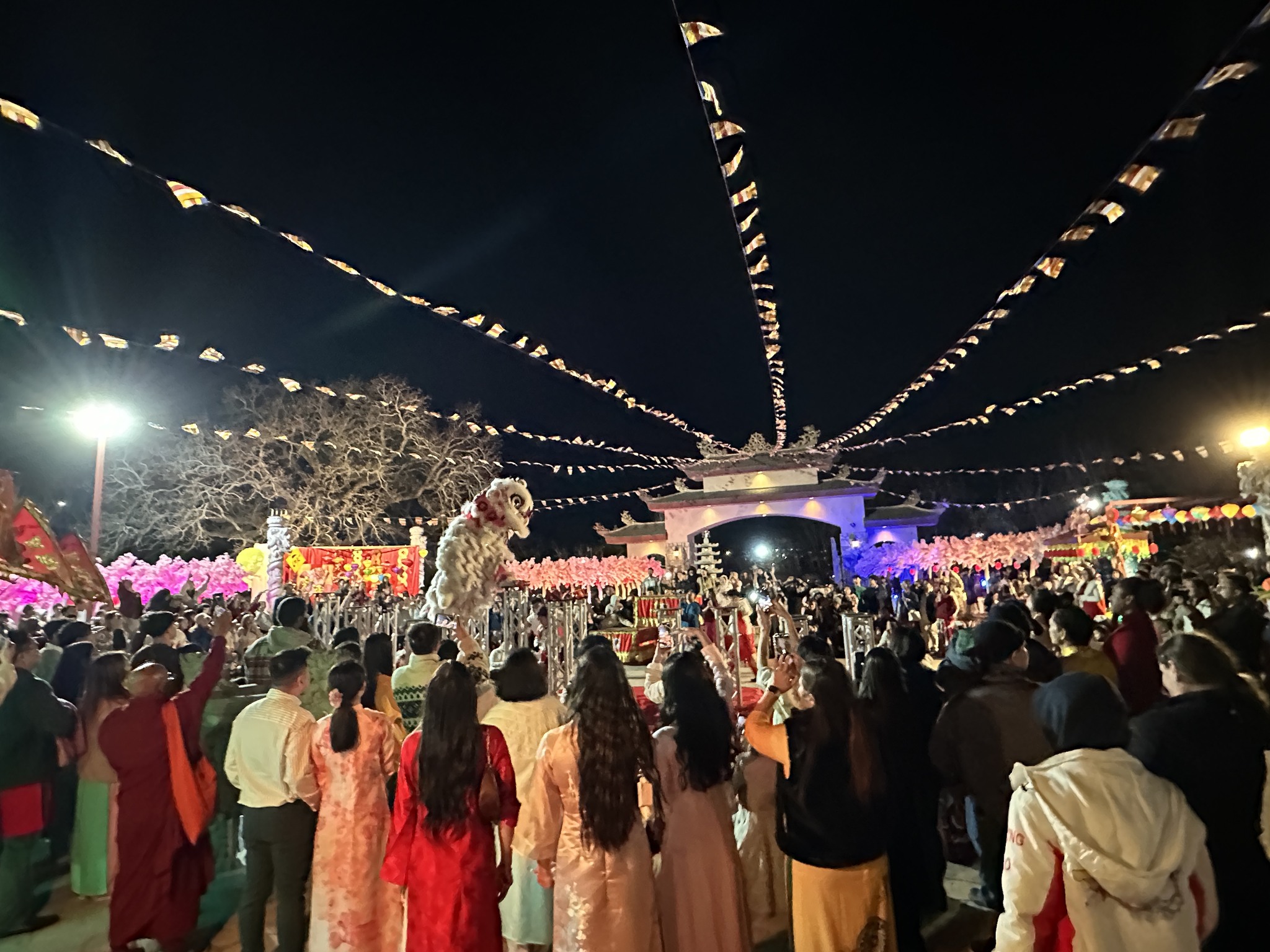 Journey Reflection on Lunar New Year Eve