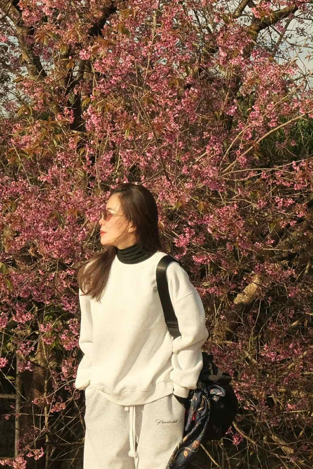 Walk For Peace Volunteers